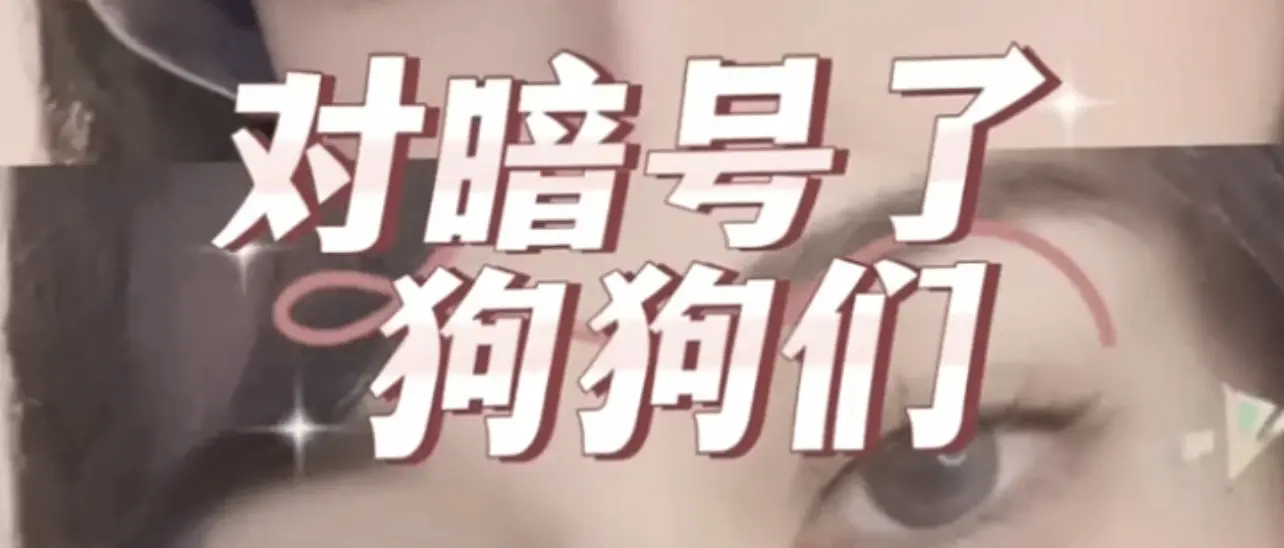 西檬之家Dom是什么意思?字母圈新人入门 一