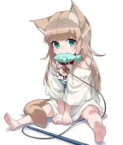 西檬之家Dom角色解析 一