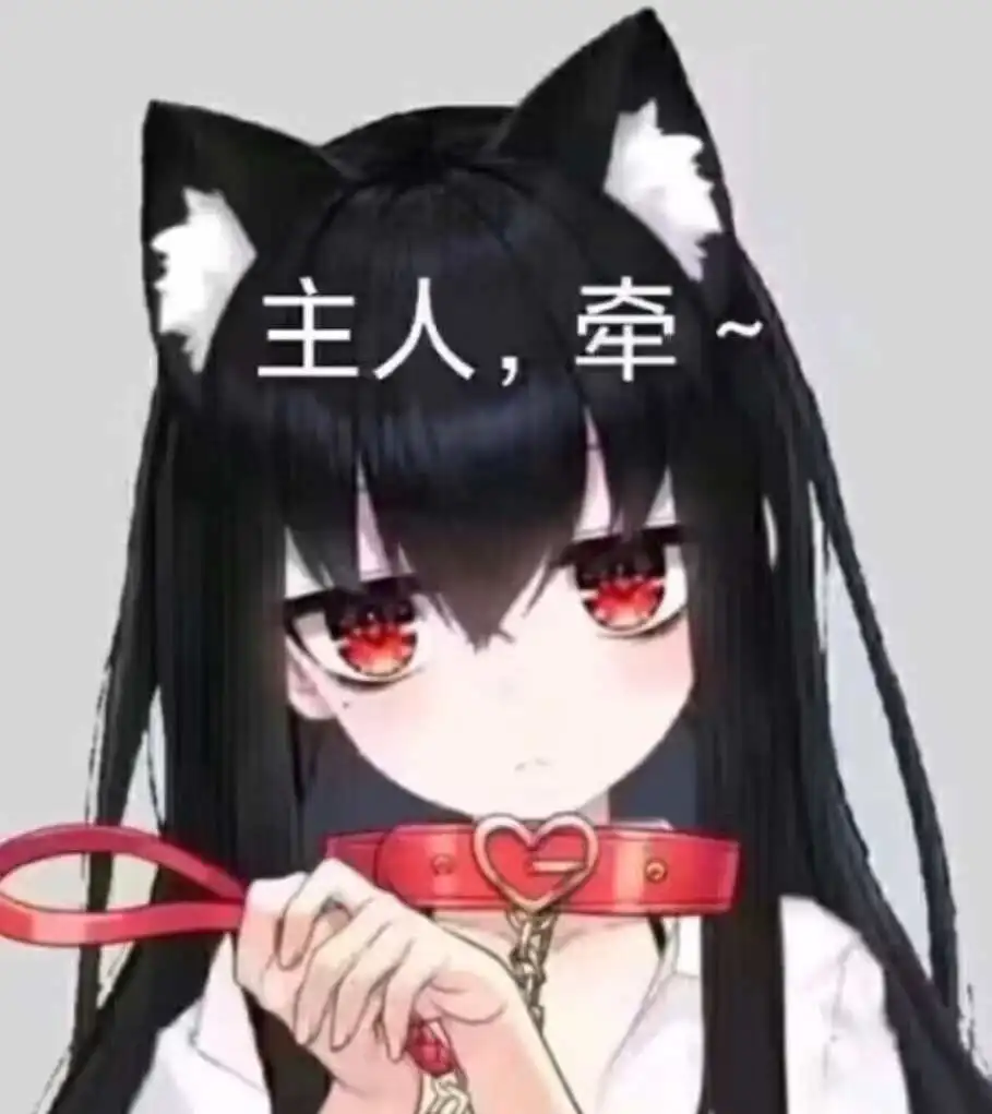 西檬之家Sub是什么?字母圈新人入圈指南 一
