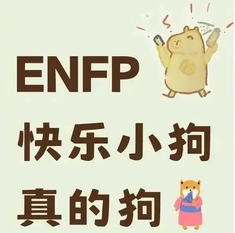 西檬之家k8猫系是什么?字母圈新人必备指南 一