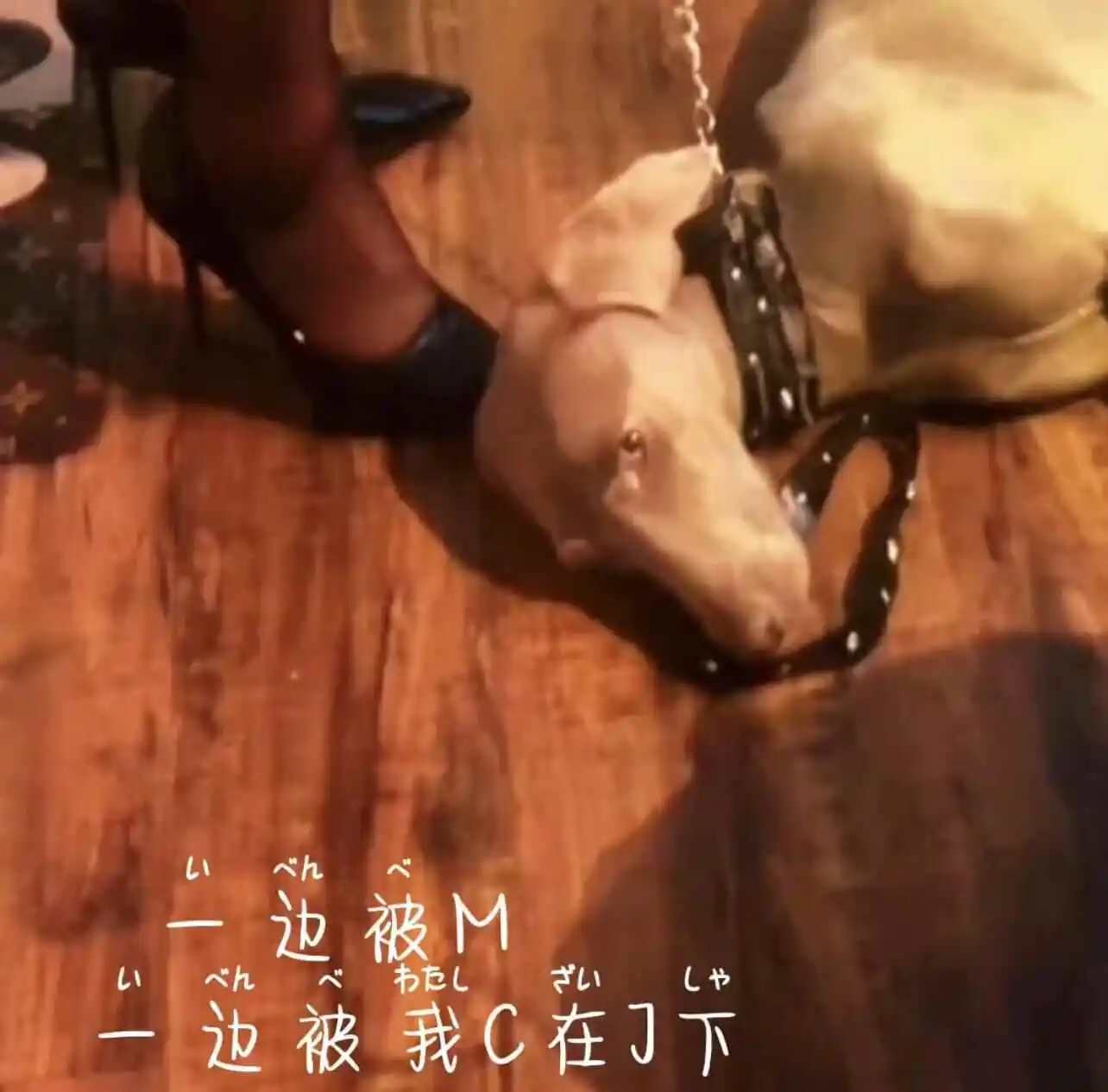 西檬之家字母圈Sp是什么意思? 一