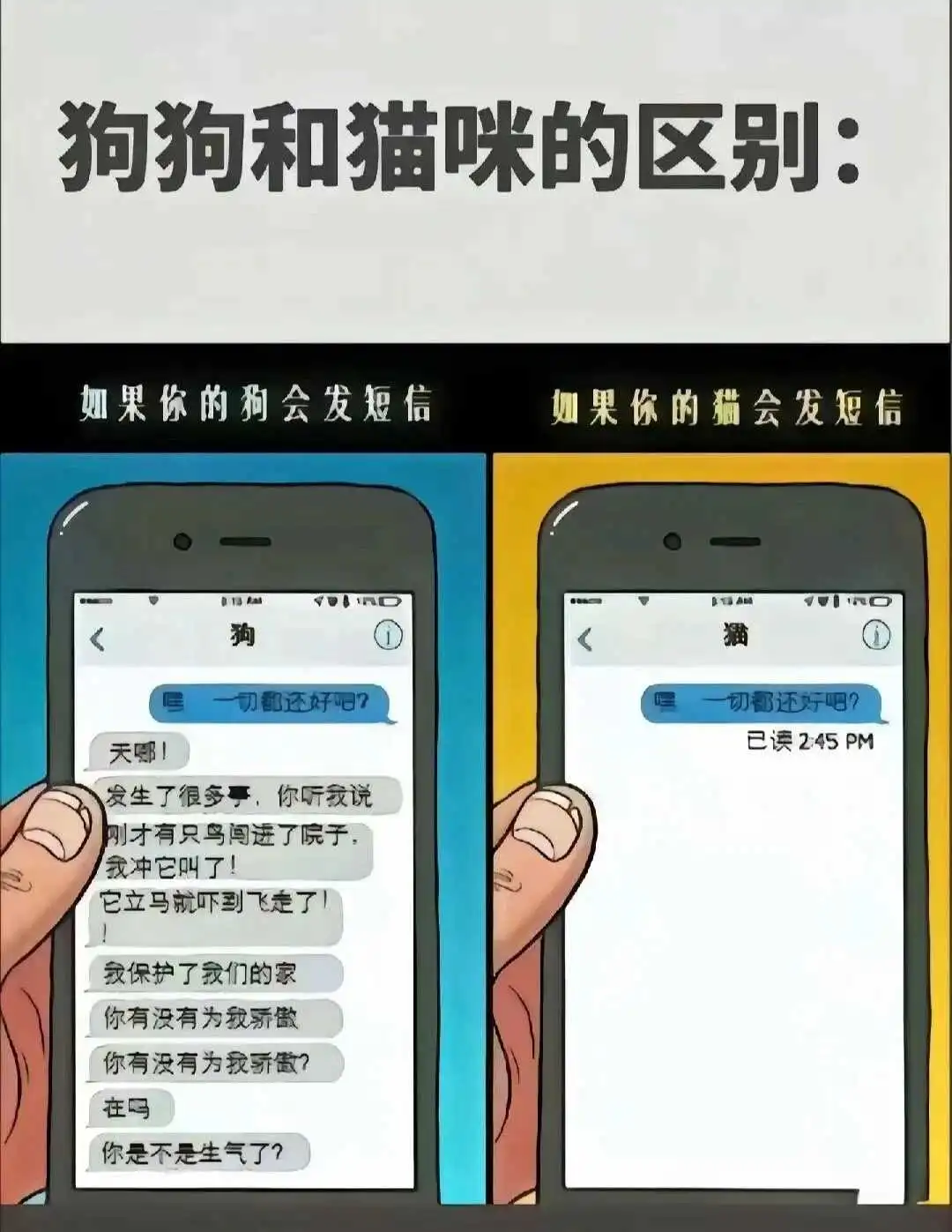 西檬之家M倾向是什么?字母圈新人必看 一