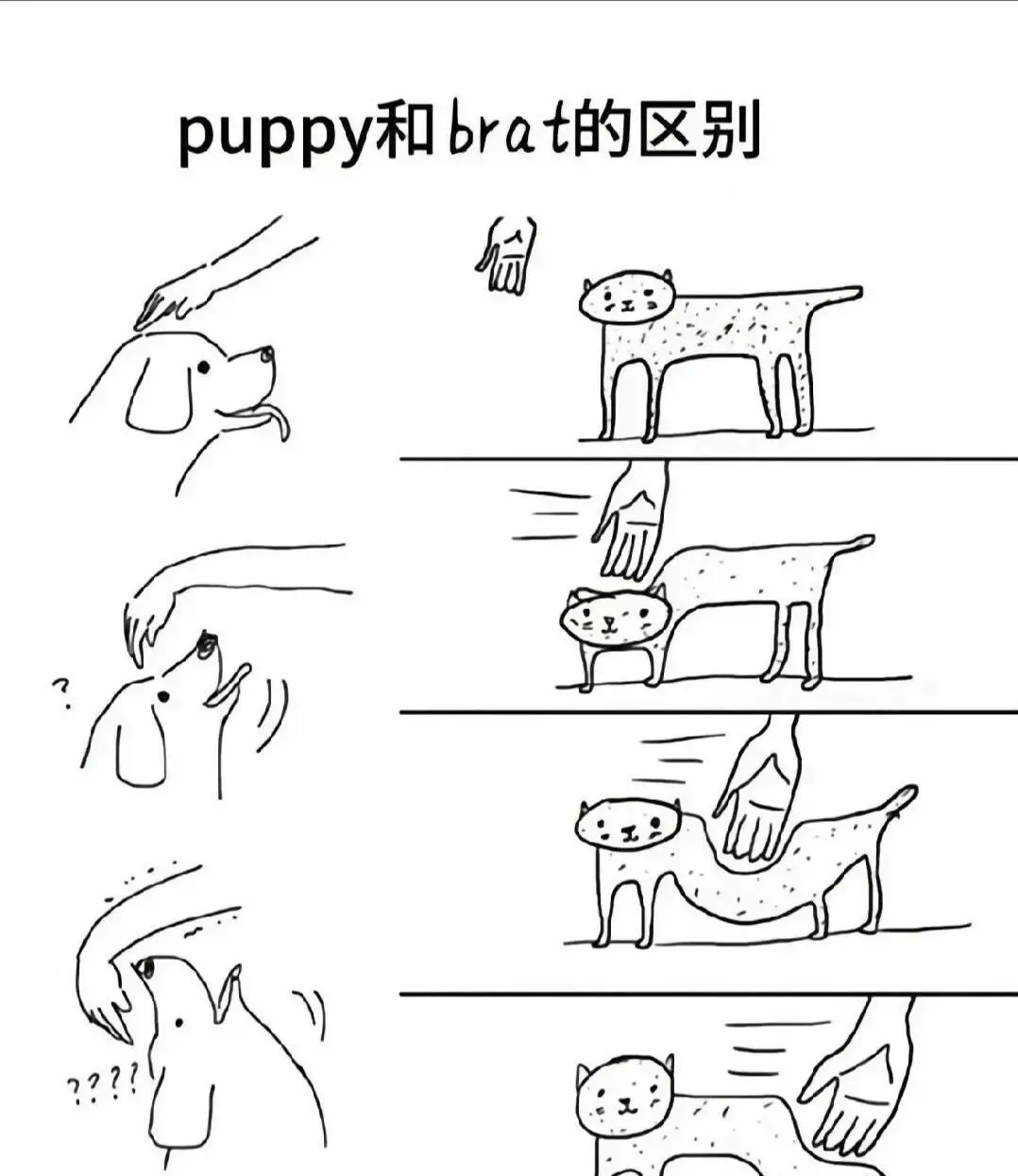 西檬之家字母圈brat属性是什么? 一