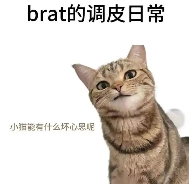 西檬之家字母圈K9是什么? 一