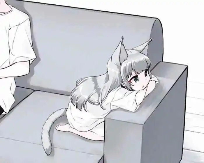 西檬之家k8猫系是什么?你的字母圈属性是什么 一