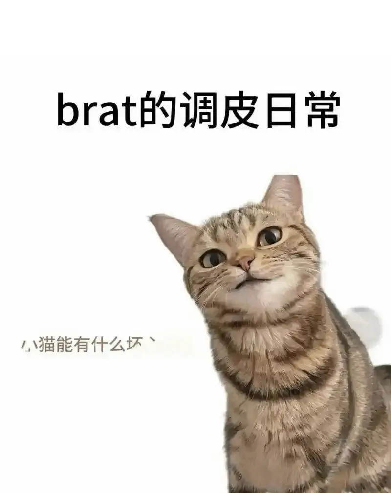 西檬之家BDSM入圈难吗?新手如何安全开启字母圈之旅 一