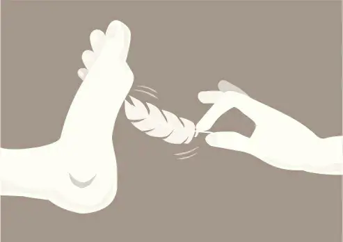 西檬之家斯慕圈是什么意思?新人入圈指南 一